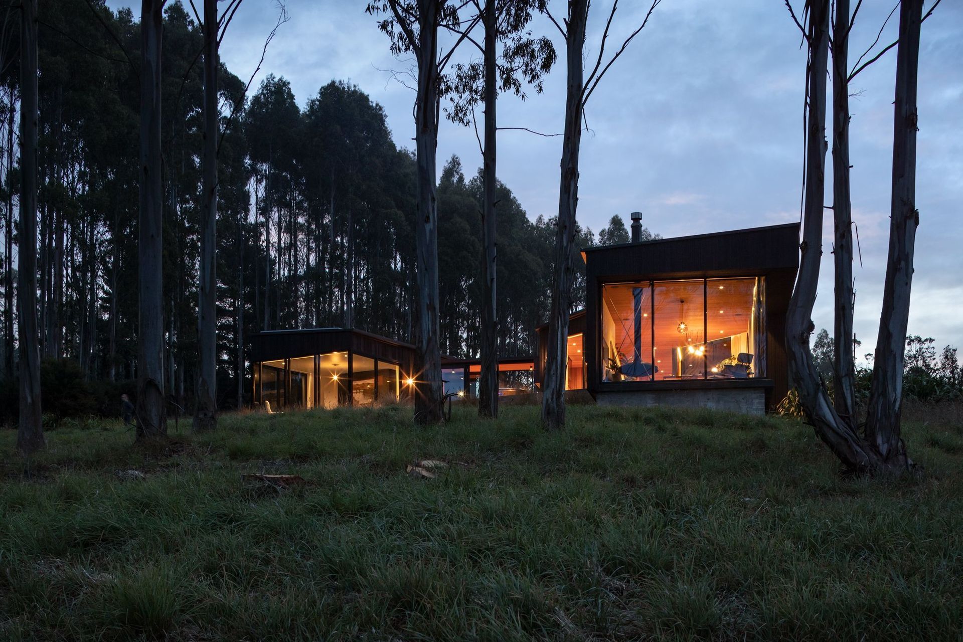The Cliffs House