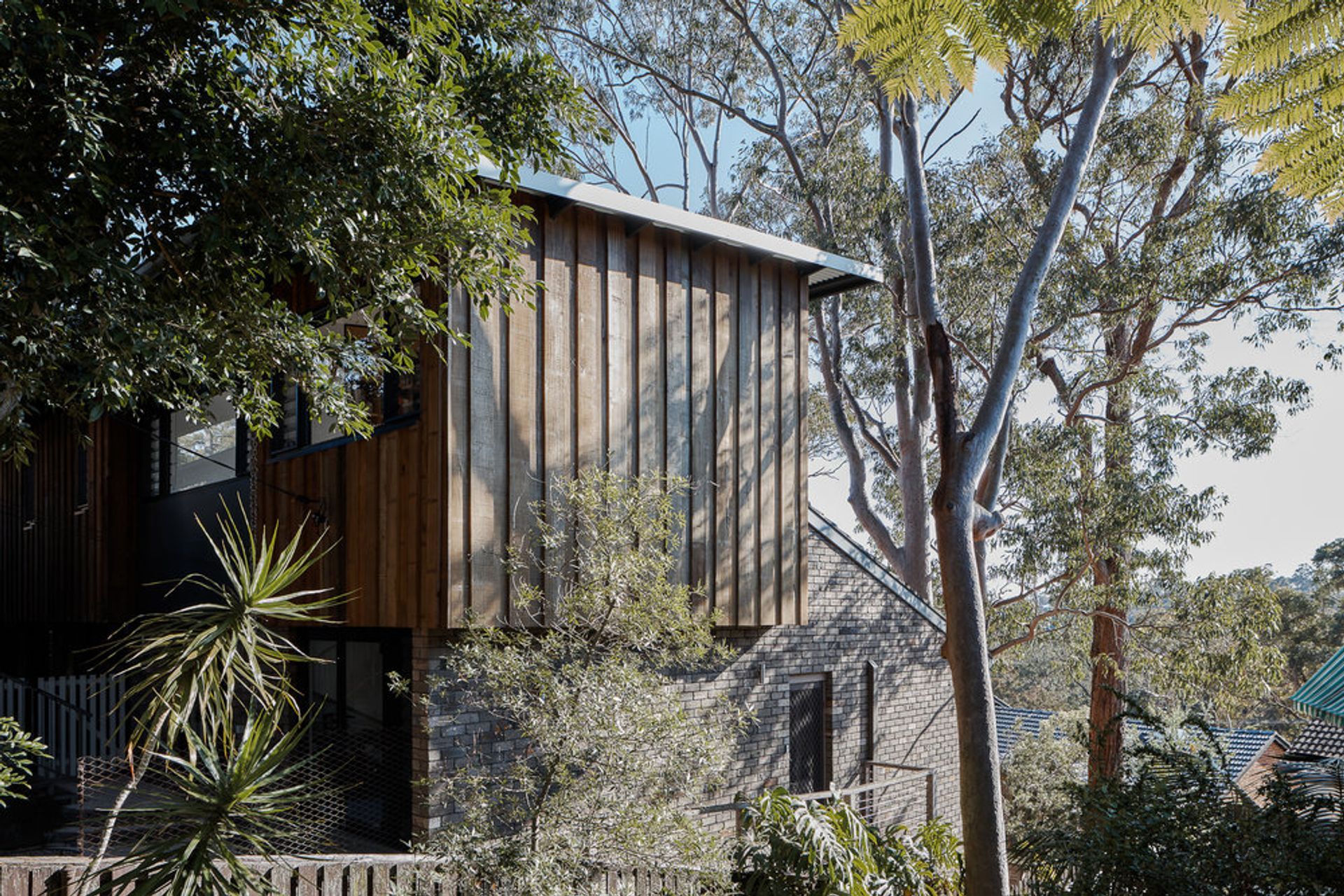 Tree Top House