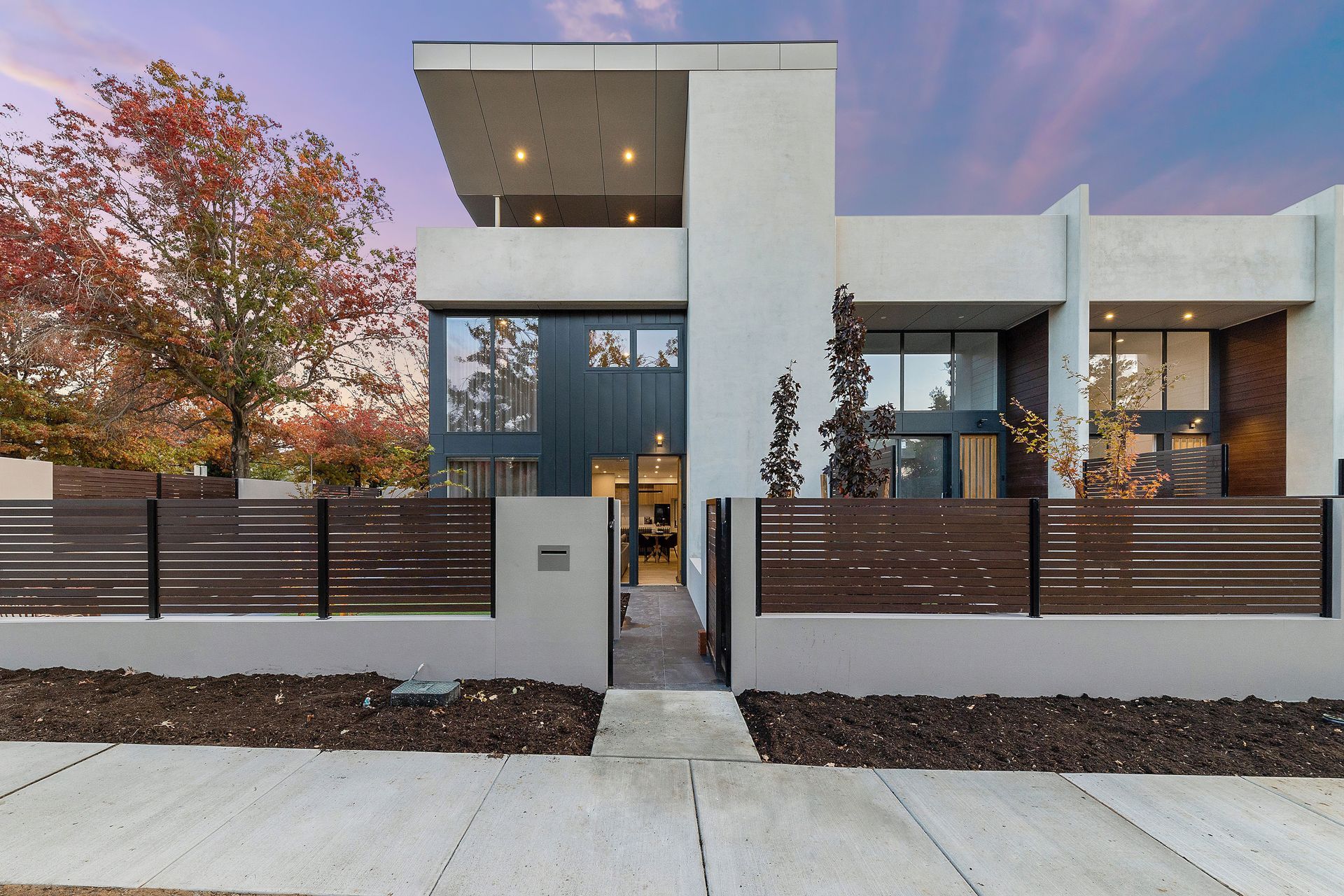 Maple Braddon