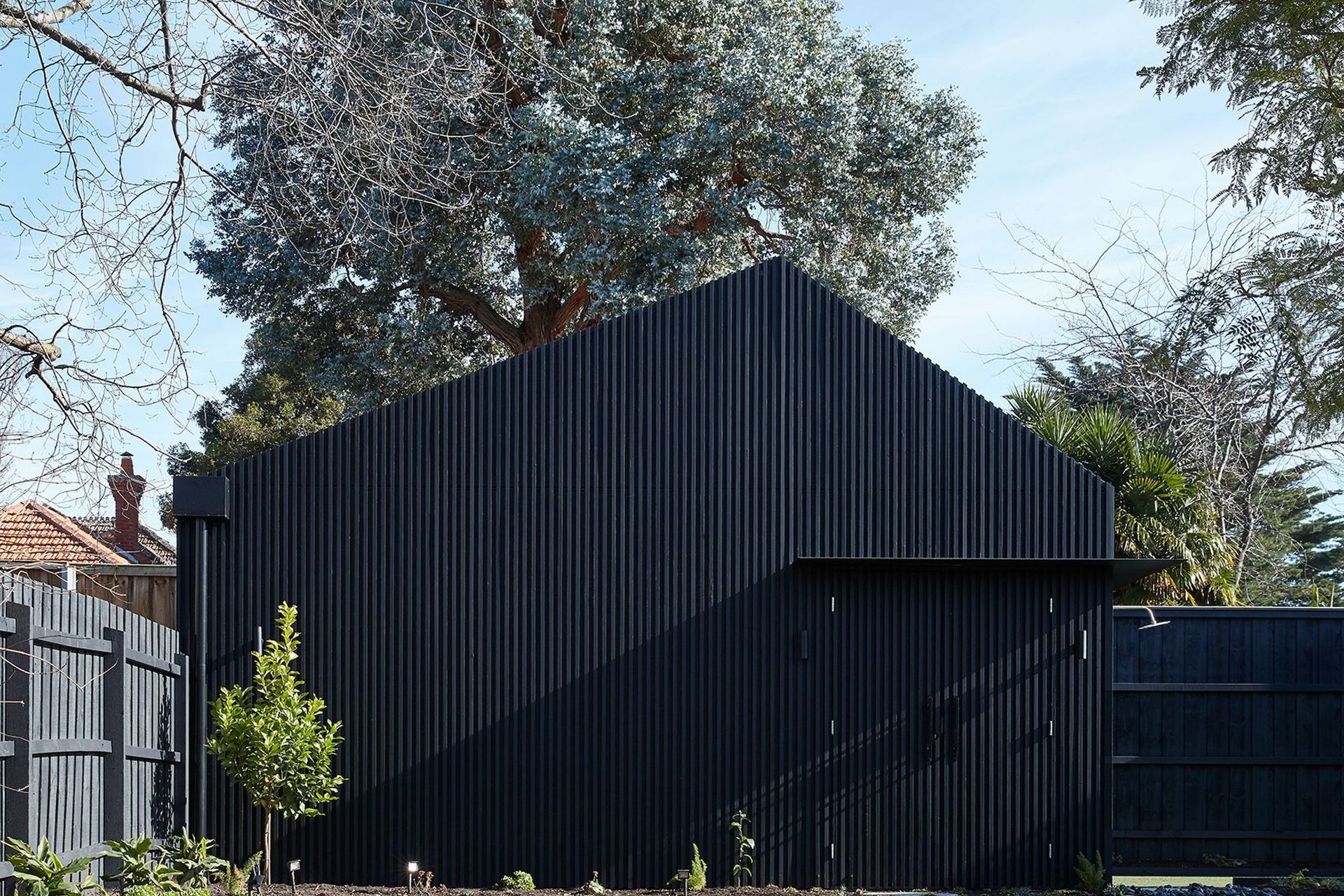 The Shed