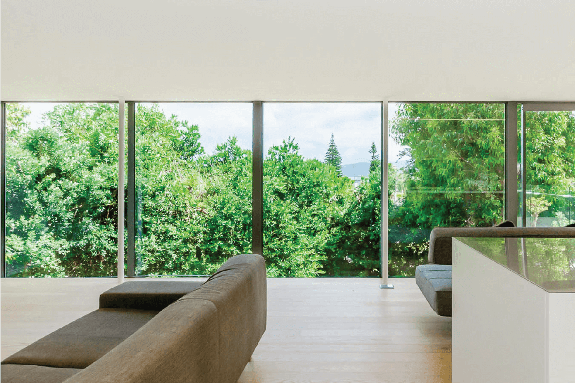 Paraparaumu Tree House