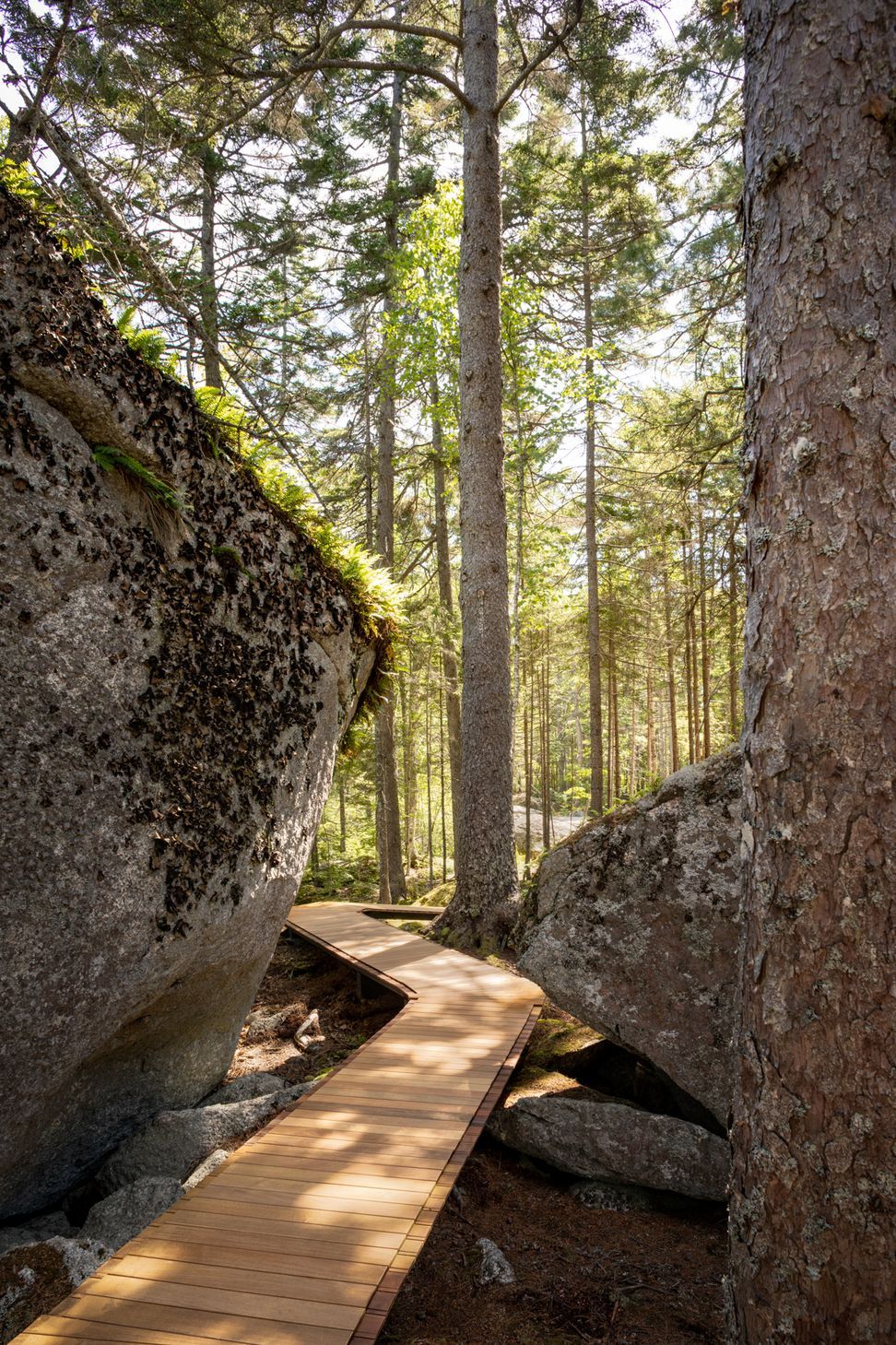 WEBP9A4153edit.jpg