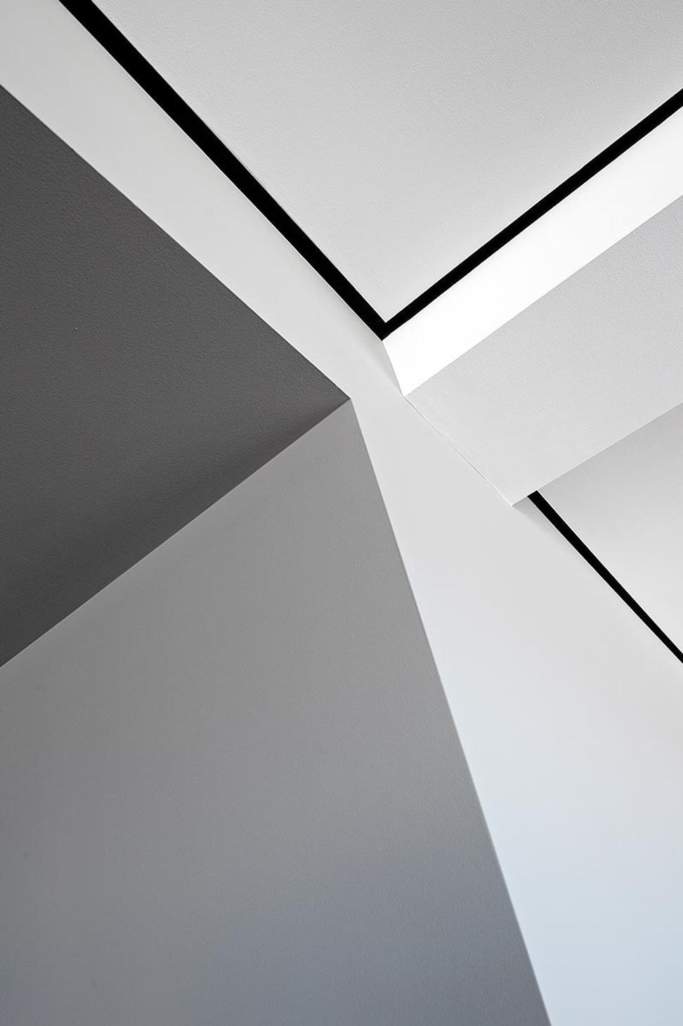Zack-de-VitoModern-Architecture-Construction-Design-BuildRussian-Hill-High-RiseSan-FranciscoCustom-HomeCeiling-DetailDamonte-014.jpg