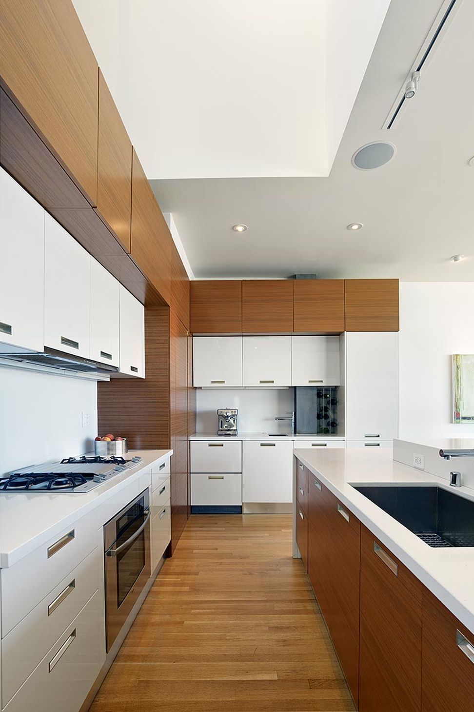 Zack-de-VitoModern-ArchitectureConstructionSan-FranciscoBernal-Heights-HouseSan-FranciscoCustom-HomeKitchenLongDamonte-004.jpg
