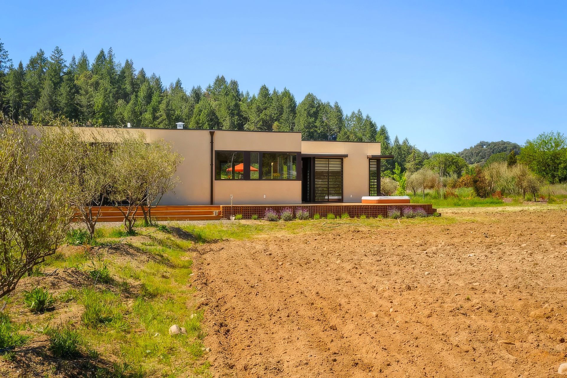imgi59healdsburg-0091-upscaled-by-Replicate.jpg