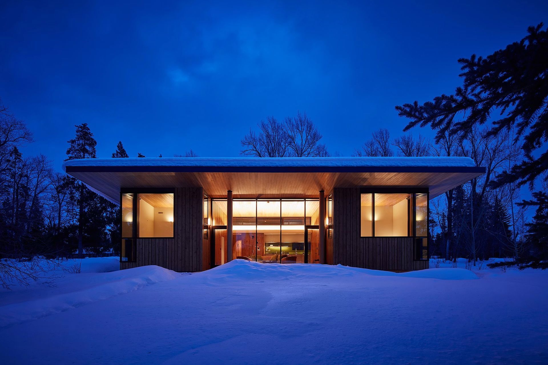 imgi91698695132-prospect-rainbowtrout-002.jpg