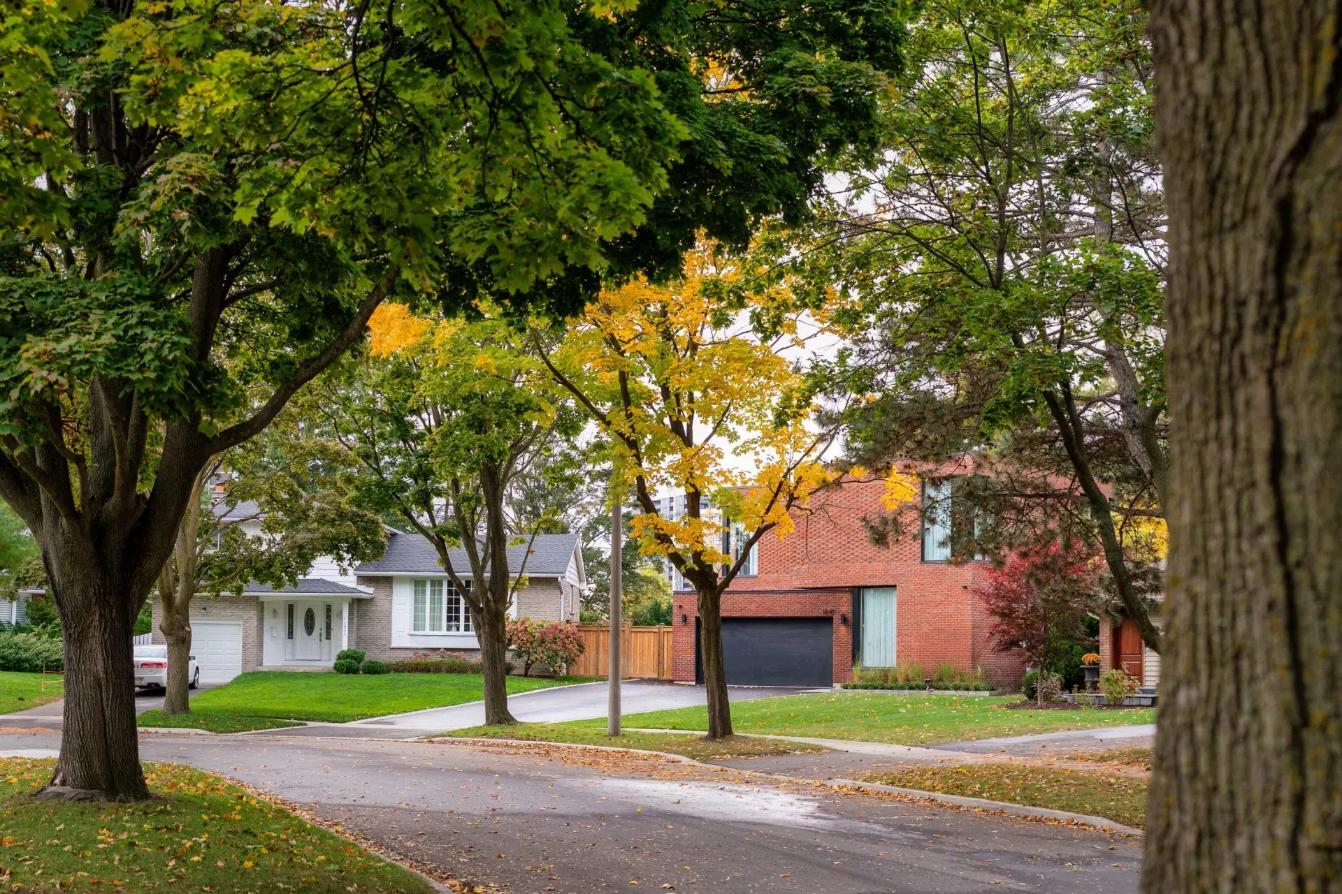 smpl-Design-Studio-1841-Pattinson-Crescent-Mississauga-Smaller-Files-3.webp