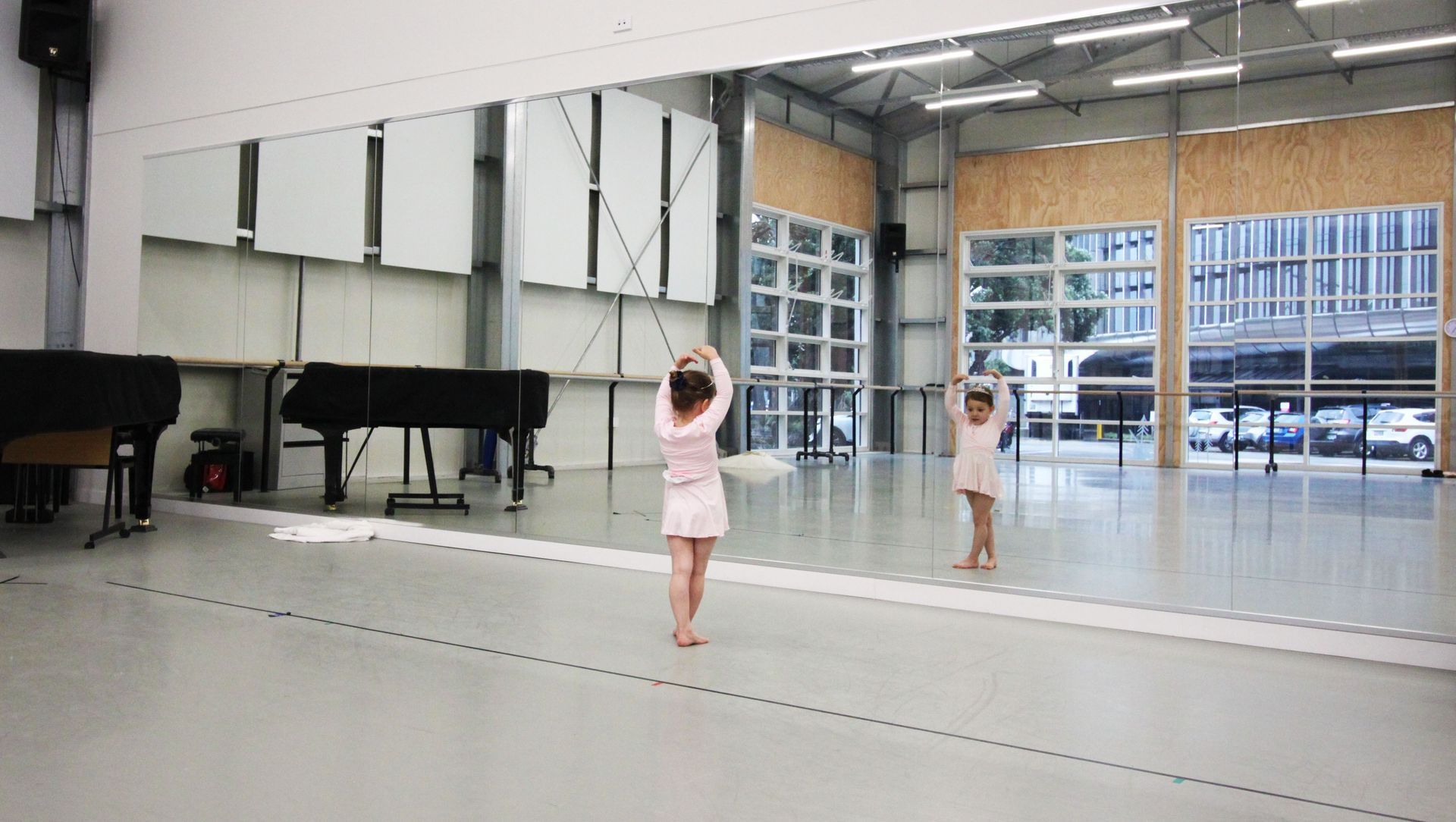 RNZB Studio banner