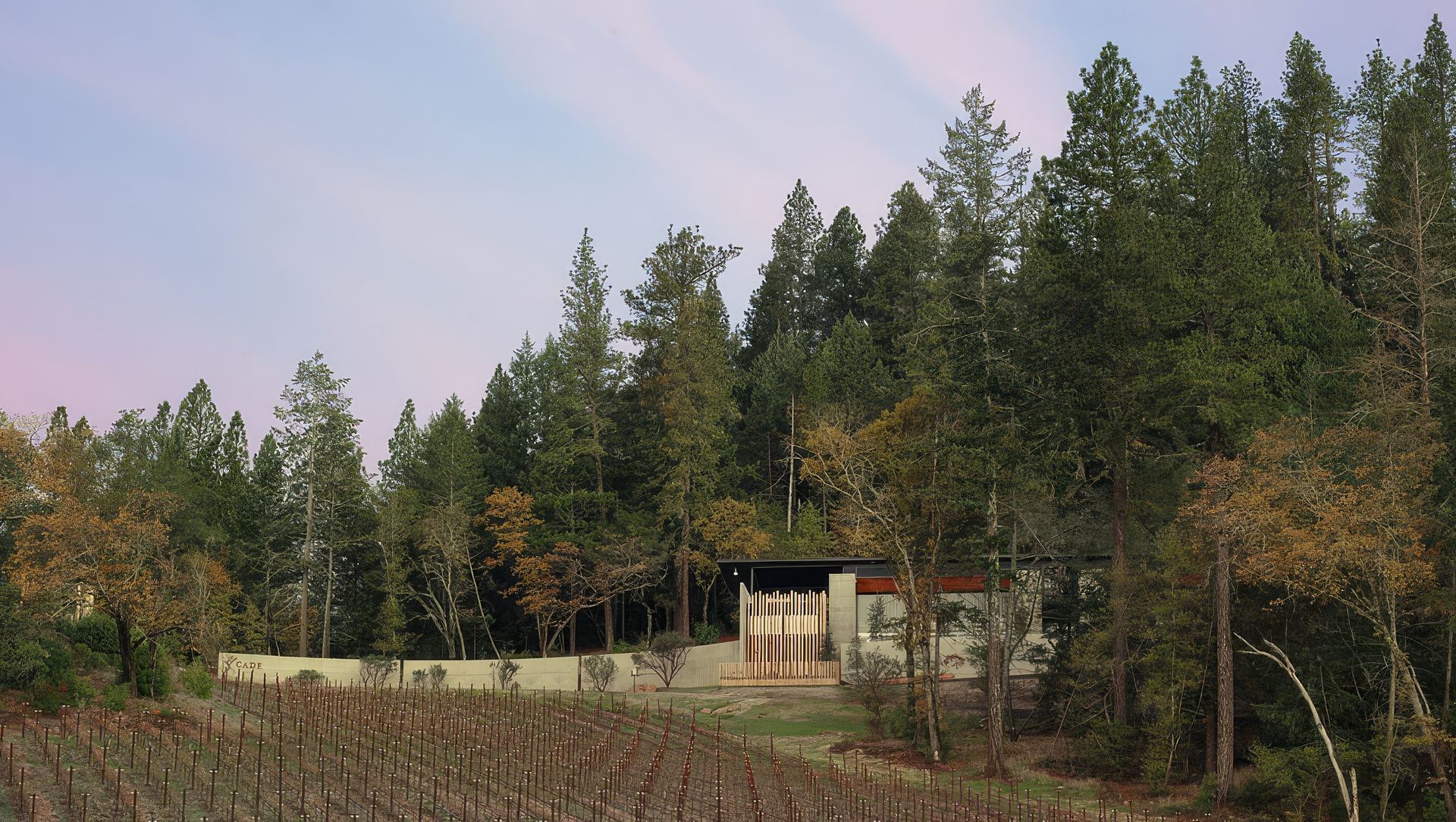 CADE Estate banner