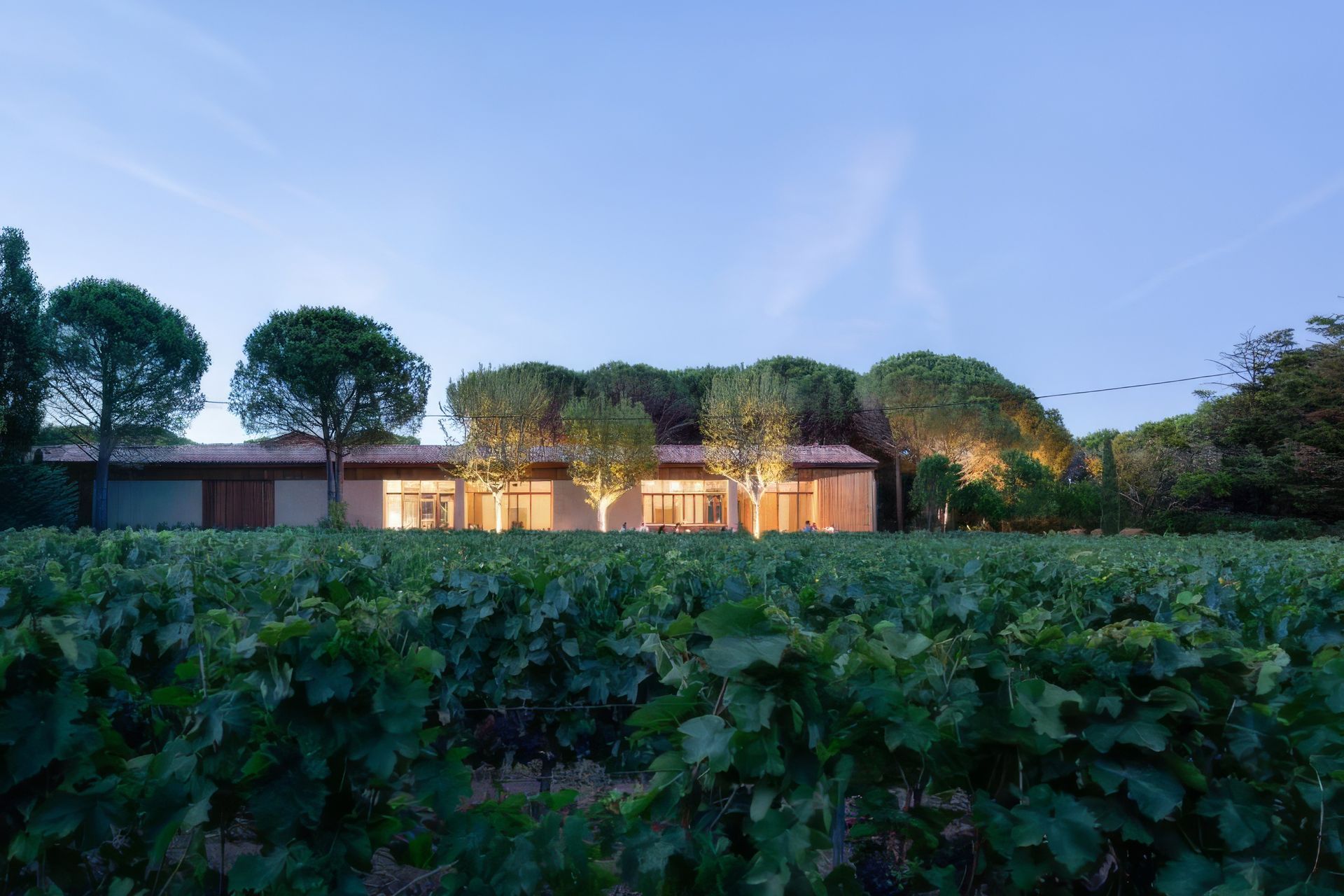 738x738Domaine-Fondugues-Pradugues-photo-non-libre-de-droits-MD-13-scaled-upscaled-by-Replicate.jpg