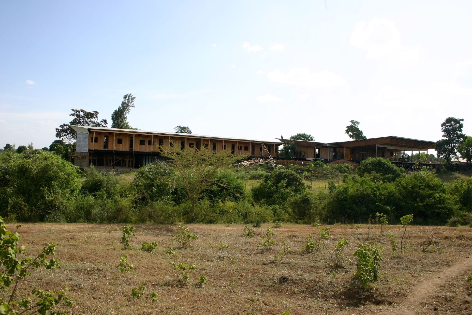 Kesho Leo