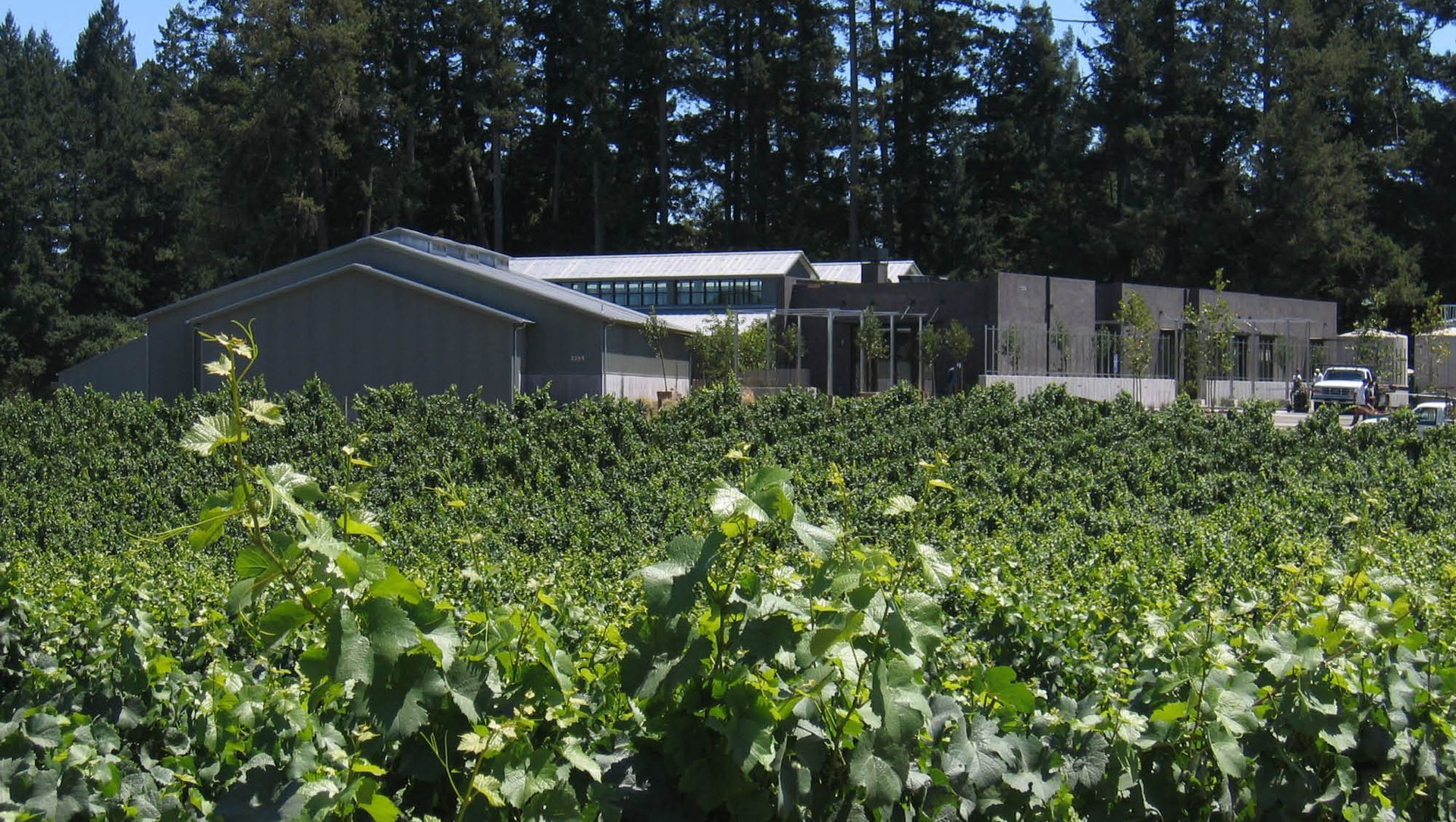 Essence of the Site | Paul Hobbs Winery banner