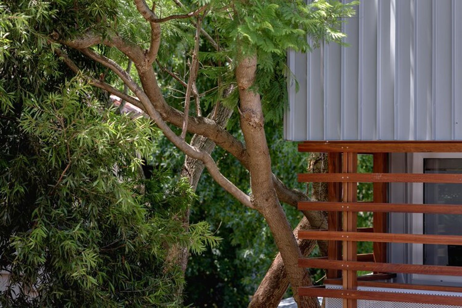 The Sydney Retreat