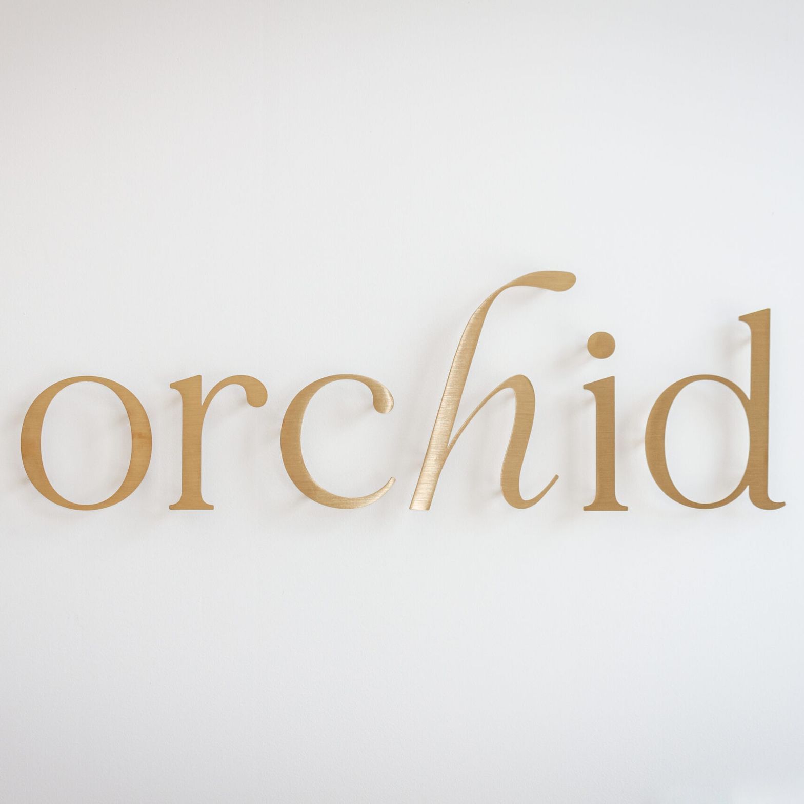 Orchid-Salon18.jpg