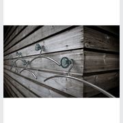 BLOSSOM Hook gallery detail image