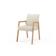 Leo Arm Chair gallery detail image