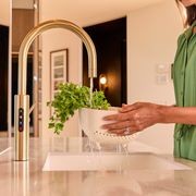 Billi Home BCS with Gooseneck Multifunction Mixer Tap gallery detail image