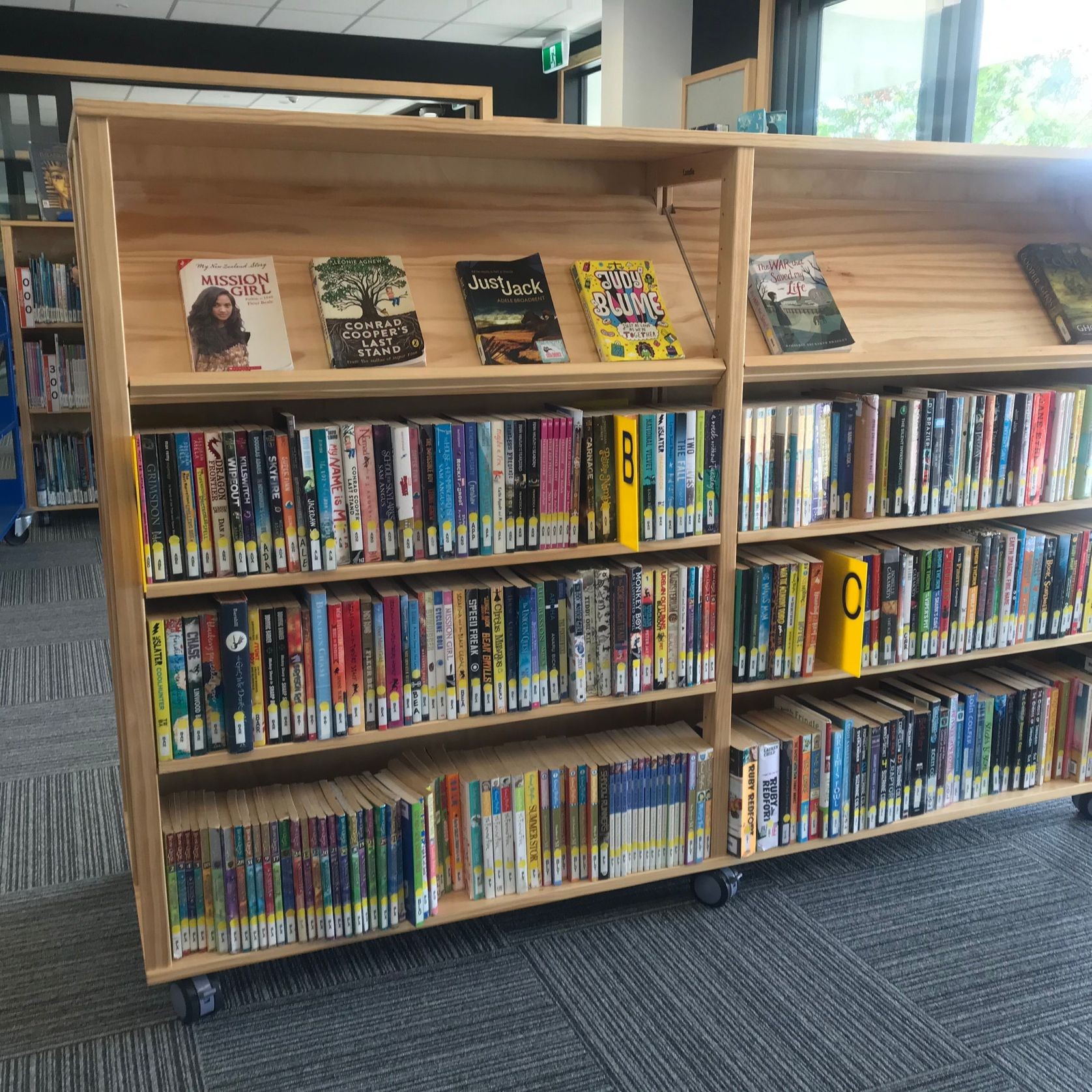 Library Shelving by Lundia gallery detail image