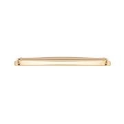 Sarlat Cabinet Pull with Backplate - CTC450mm gallery detail image