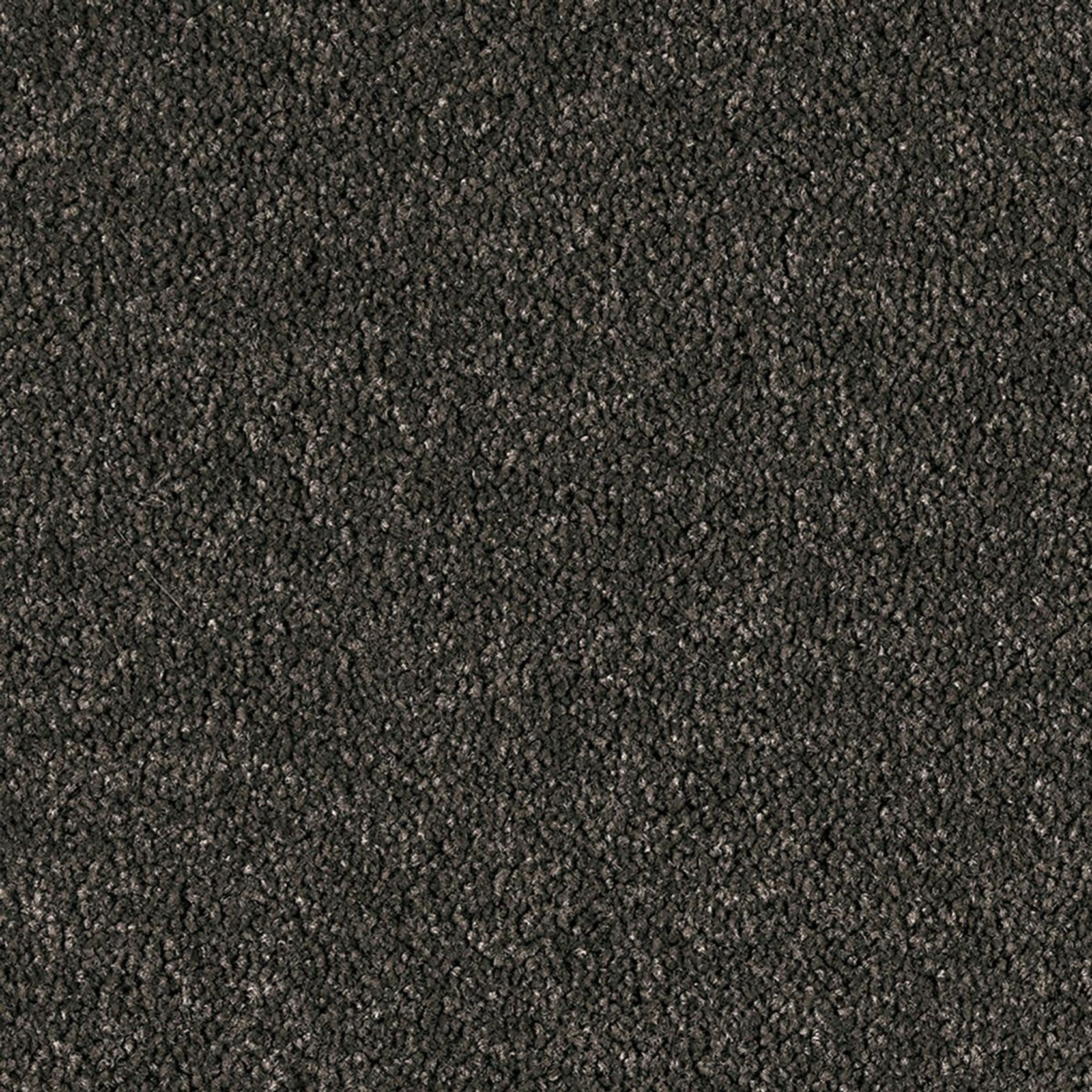 Hilton | Premium SDN gallery detail image