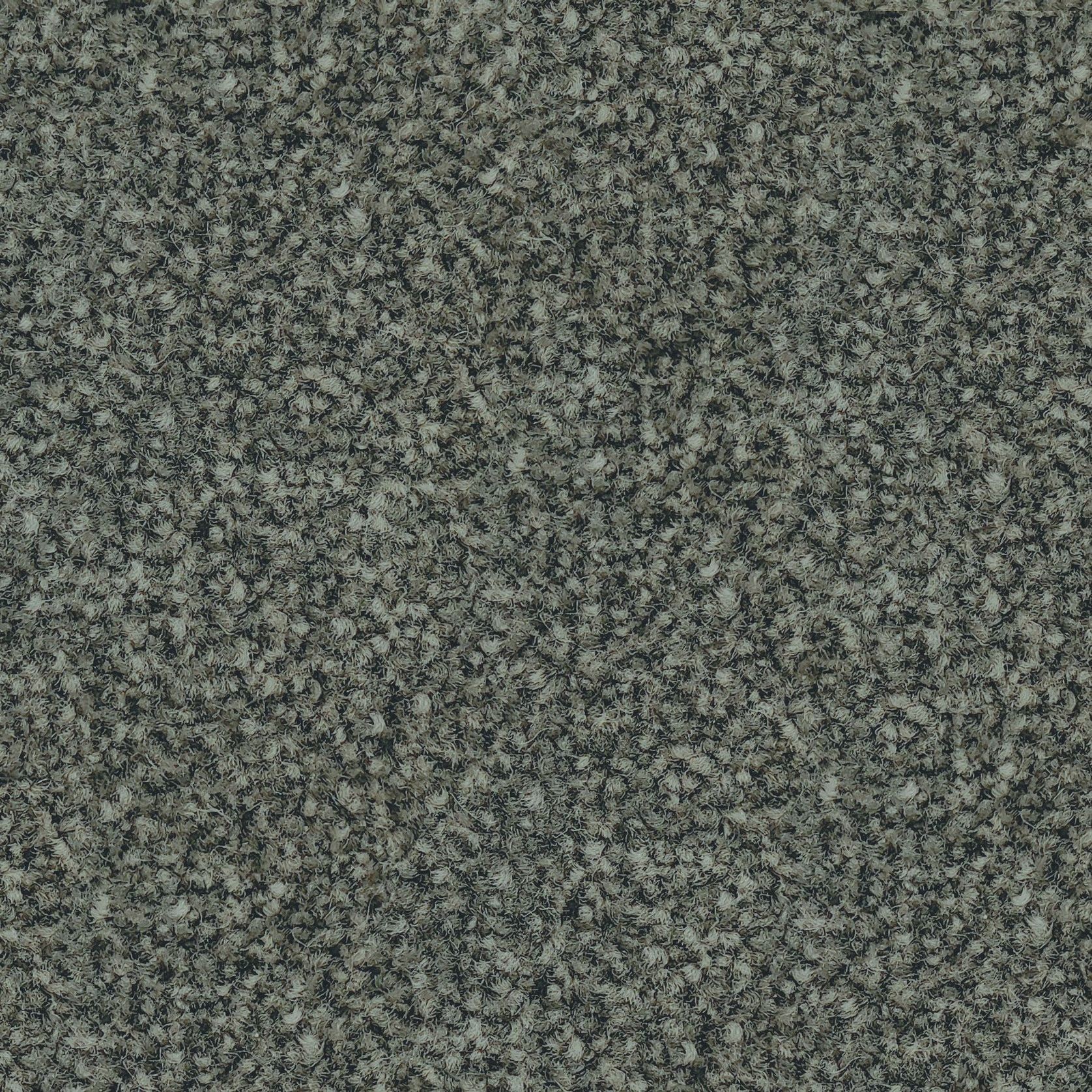 Forest Grove by Belgotex | Carpet gallery detail image