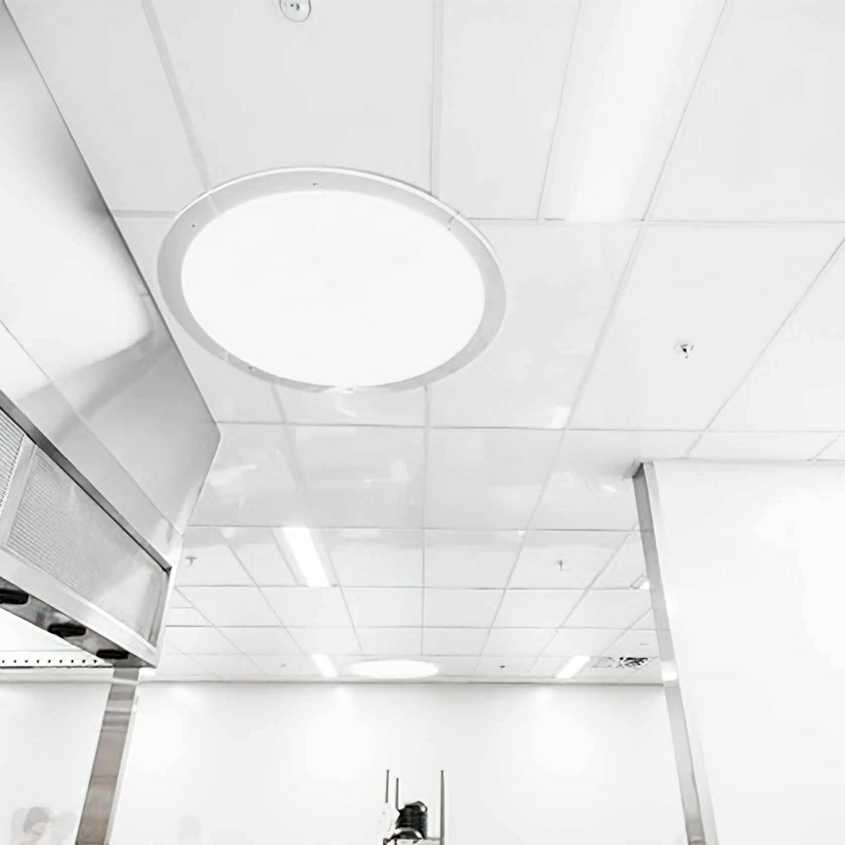 Fenta Hygiene Ceiling Tile gallery detail image