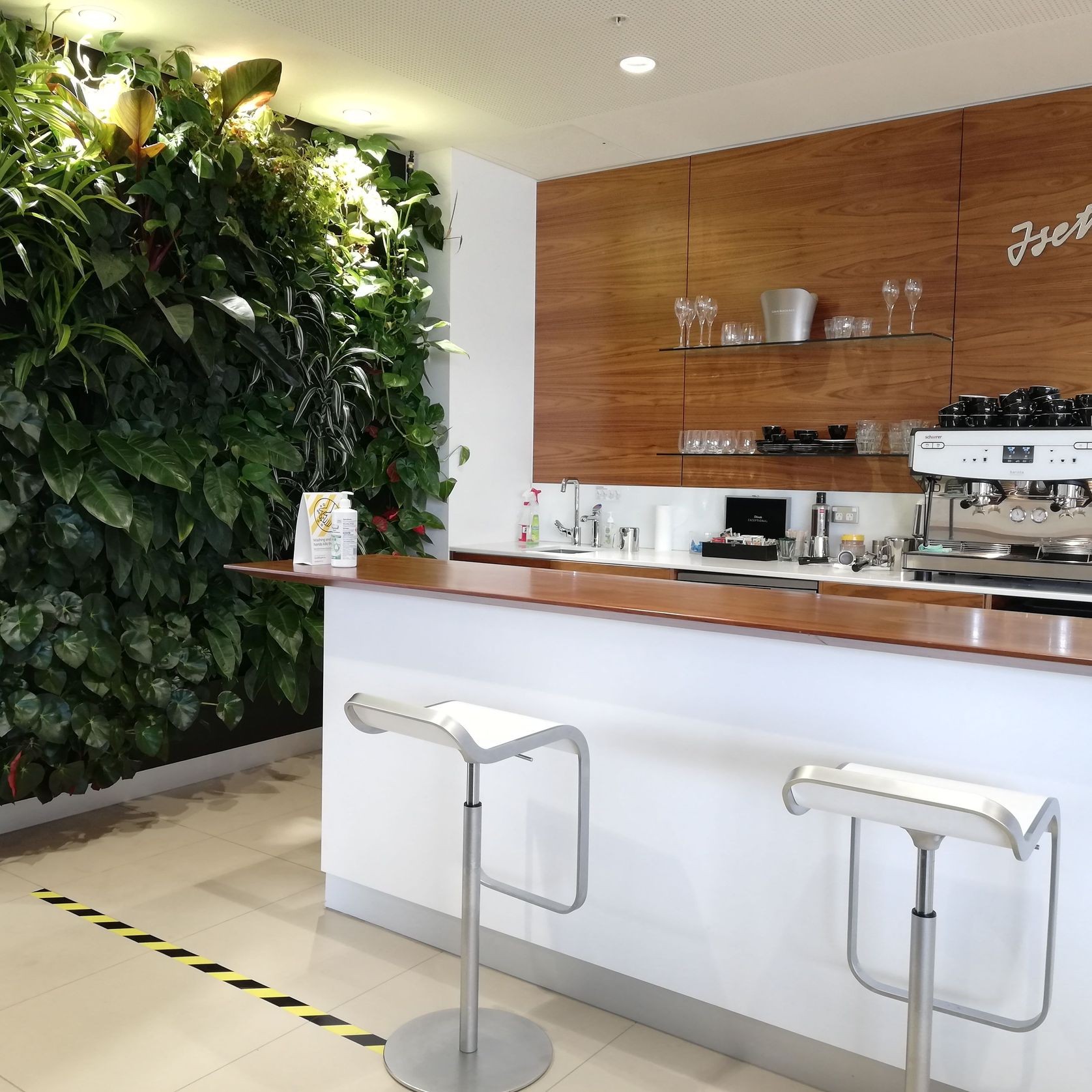 Vertical Live Plant Installations | Hire Plants gallery detail image