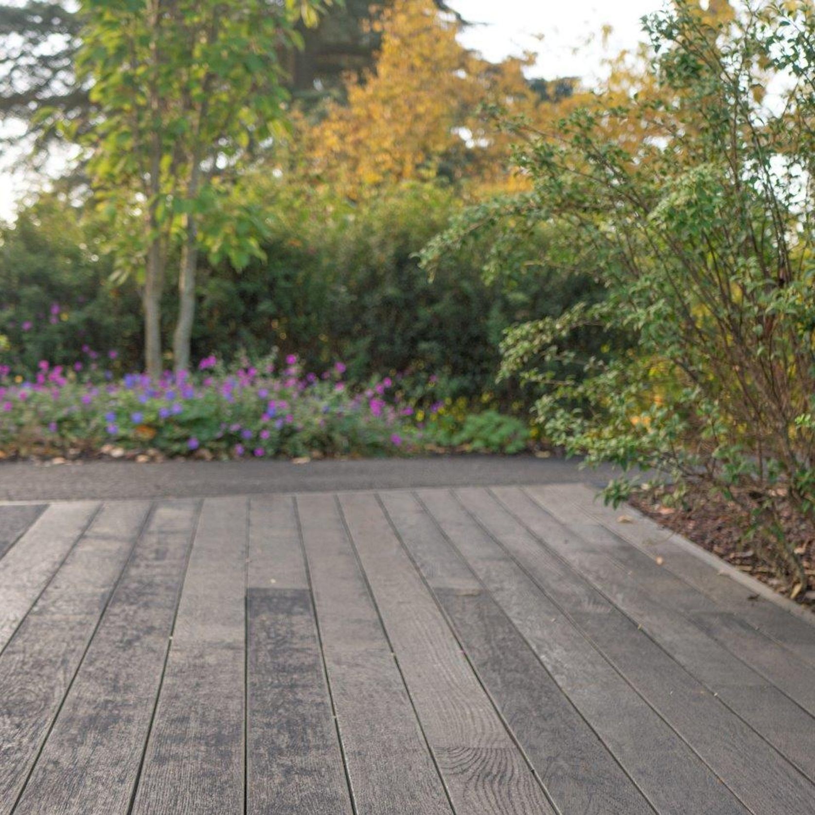 Millboard Burnt Cedar | Enhanced Grain Decking gallery detail image