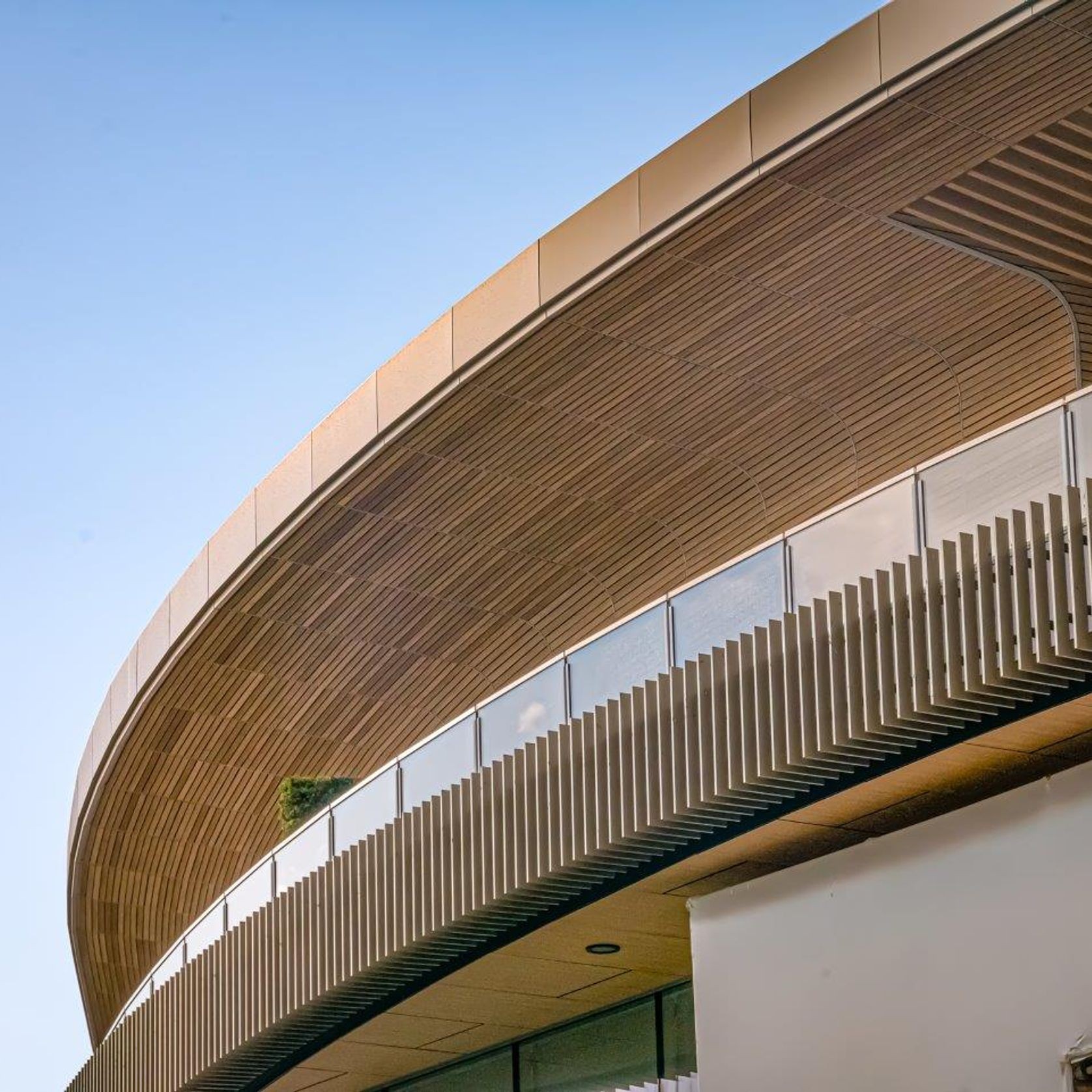 Millboard Golden Oak | Enhanced Grain Decking gallery detail image