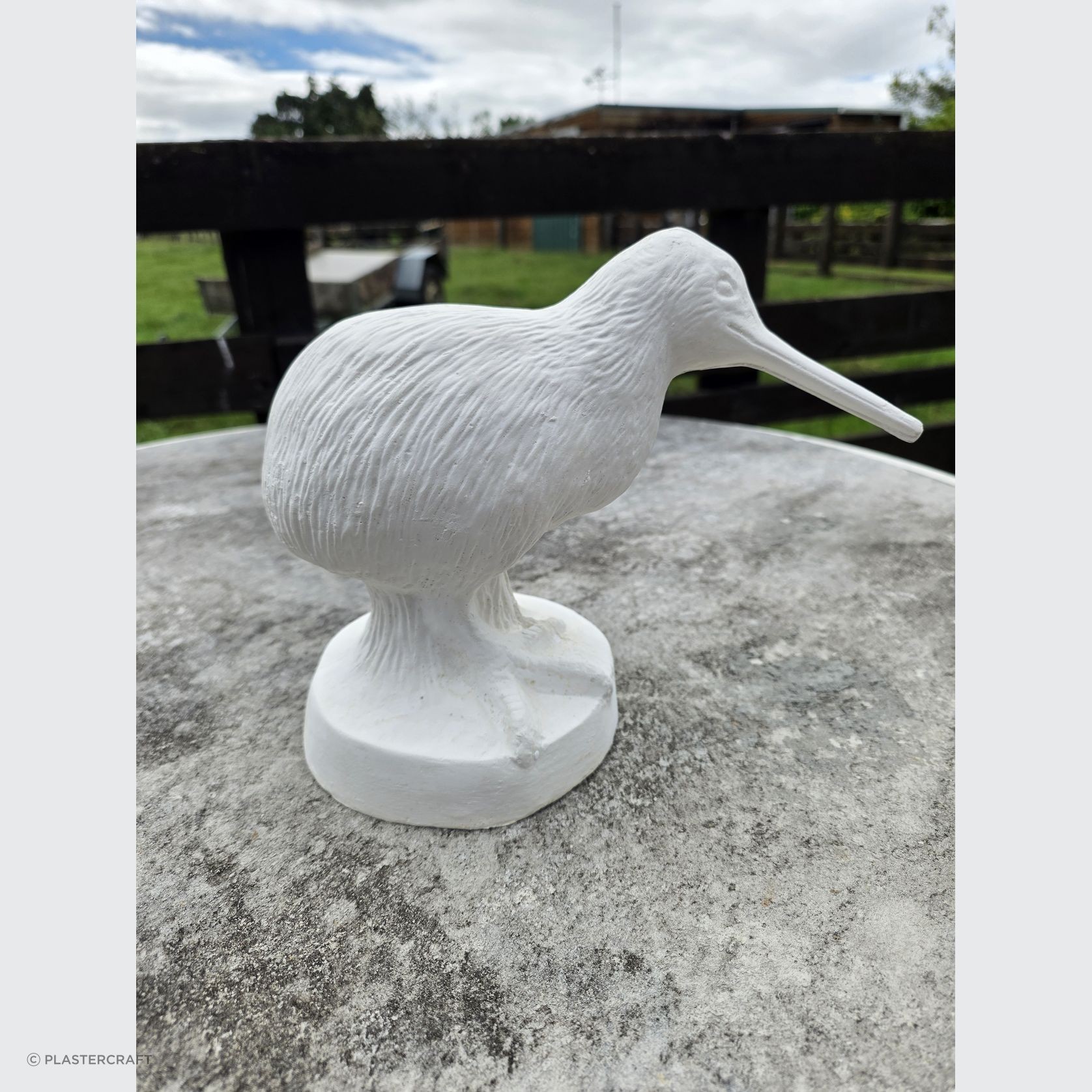 Fibrous Plaster Kiwi bird
