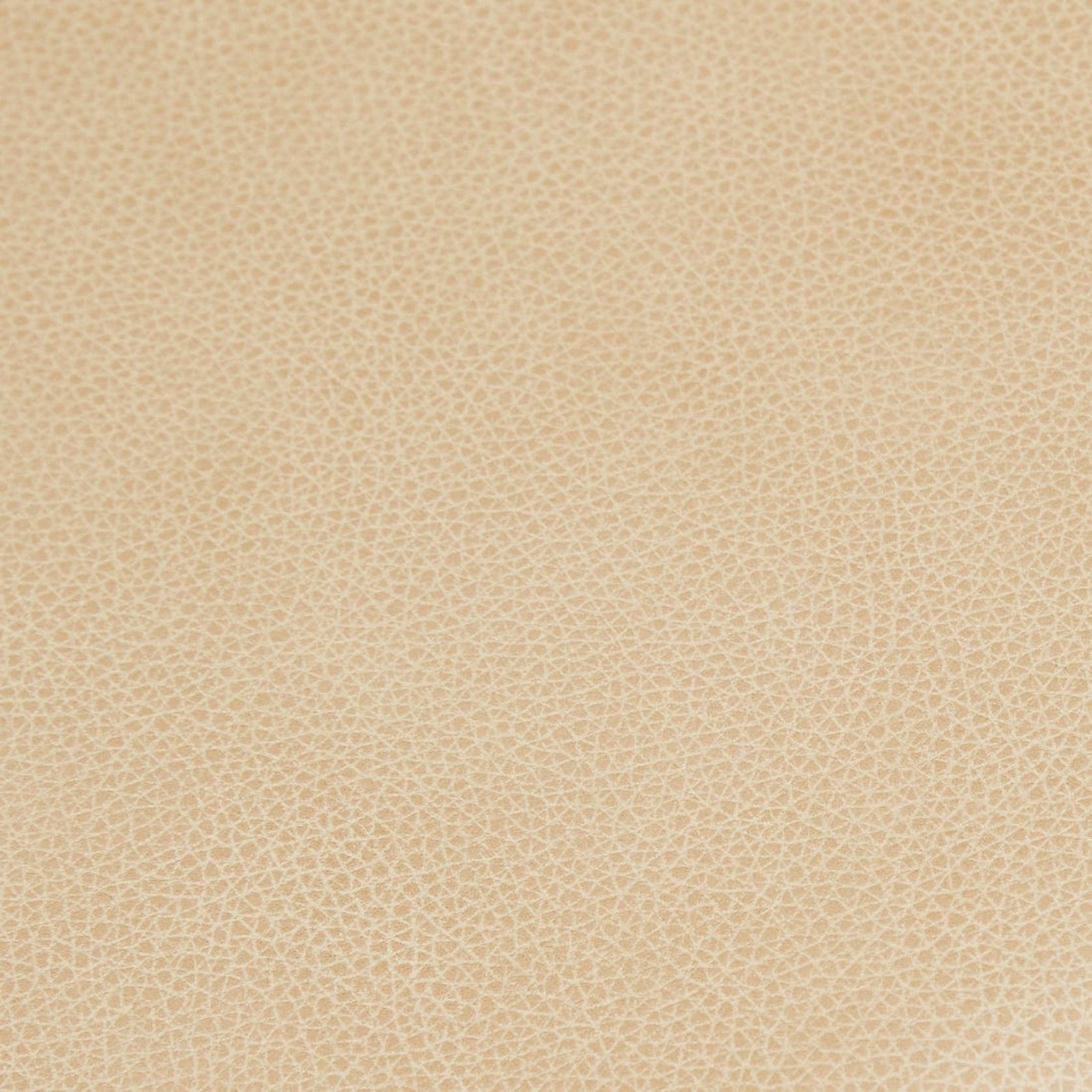 Ronda Upholstered Dining Chair gallery detail image