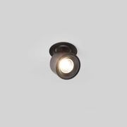 adjustable downlight