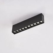 Linear surface mounted light