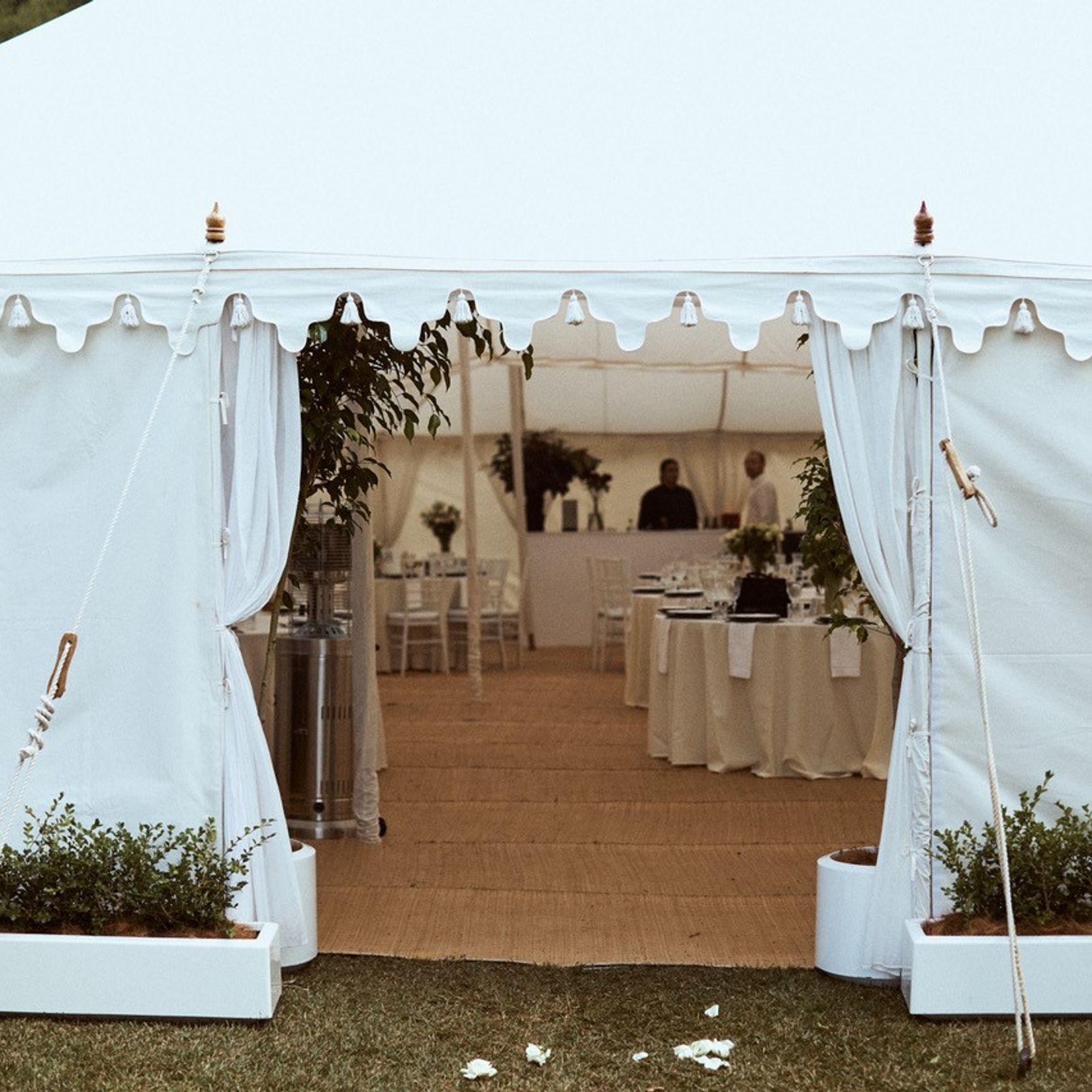 Plant Hire For Events | Hire Plants gallery detail image
