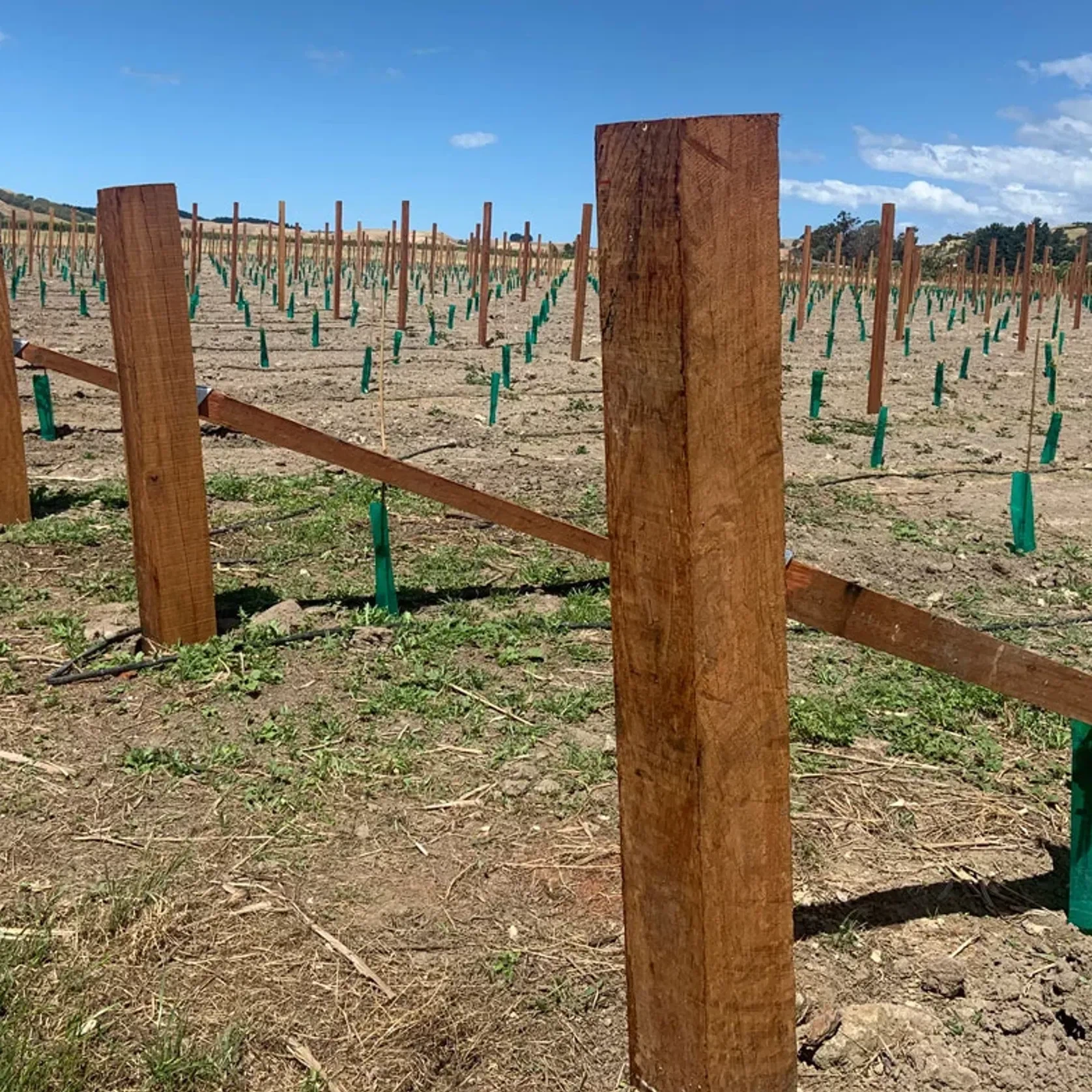Vineyard Hardwood gallery detail image