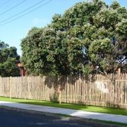 Eucalypt Fencing Panels & Poles gallery detail image