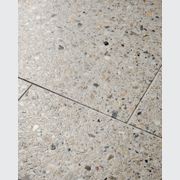 The Naturaliste | Terrazzo Tiles gallery detail image