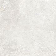 Arctic Tundra White Matt 60 gallery detail image
