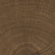 W-Circles | Floor & Wall Tile gallery detail image