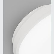 Bode Round Wall/Ceiling Light gallery detail image