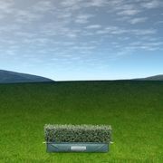 Living Edge™ – low-growing instant hedge range gallery detail image