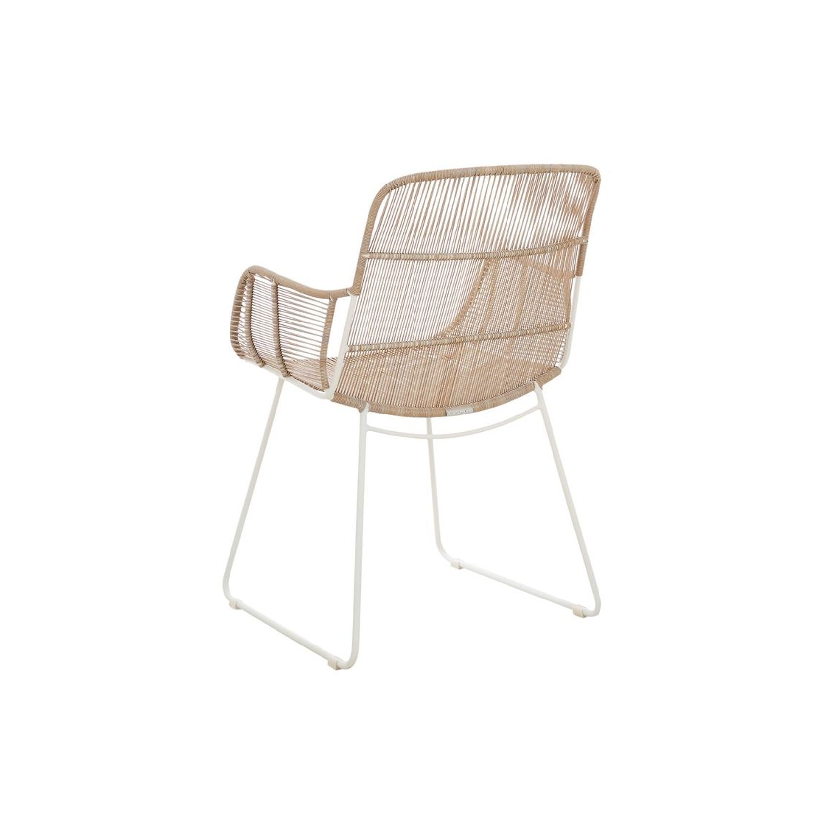 Marina Laze Dining Armchair gallery detail image