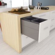 Tanova Designer Series 2 Pull Out Kitchen Bins gallery detail image