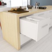 Tanova Designer Series 2 Pull Out Kitchen Bins gallery detail image