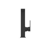 Bianca Kitchen Mixer | Matte Black gallery detail image