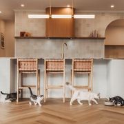 DuracoreSilent® | Acoustic Hybrid Flooring gallery detail image