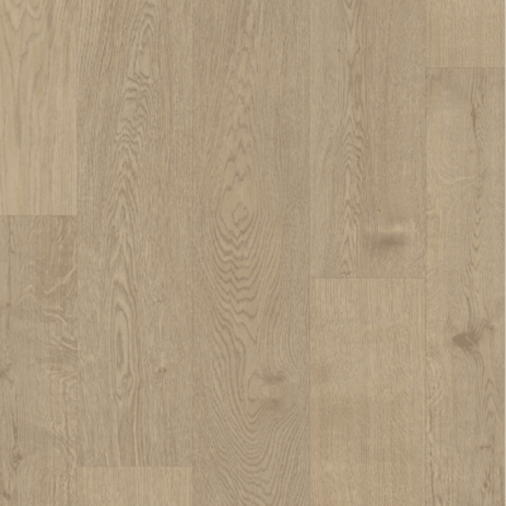 Odyssey gallery detail image