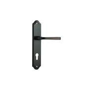 Door Lever on Shouldered Backplate Signature Brass gallery detail image