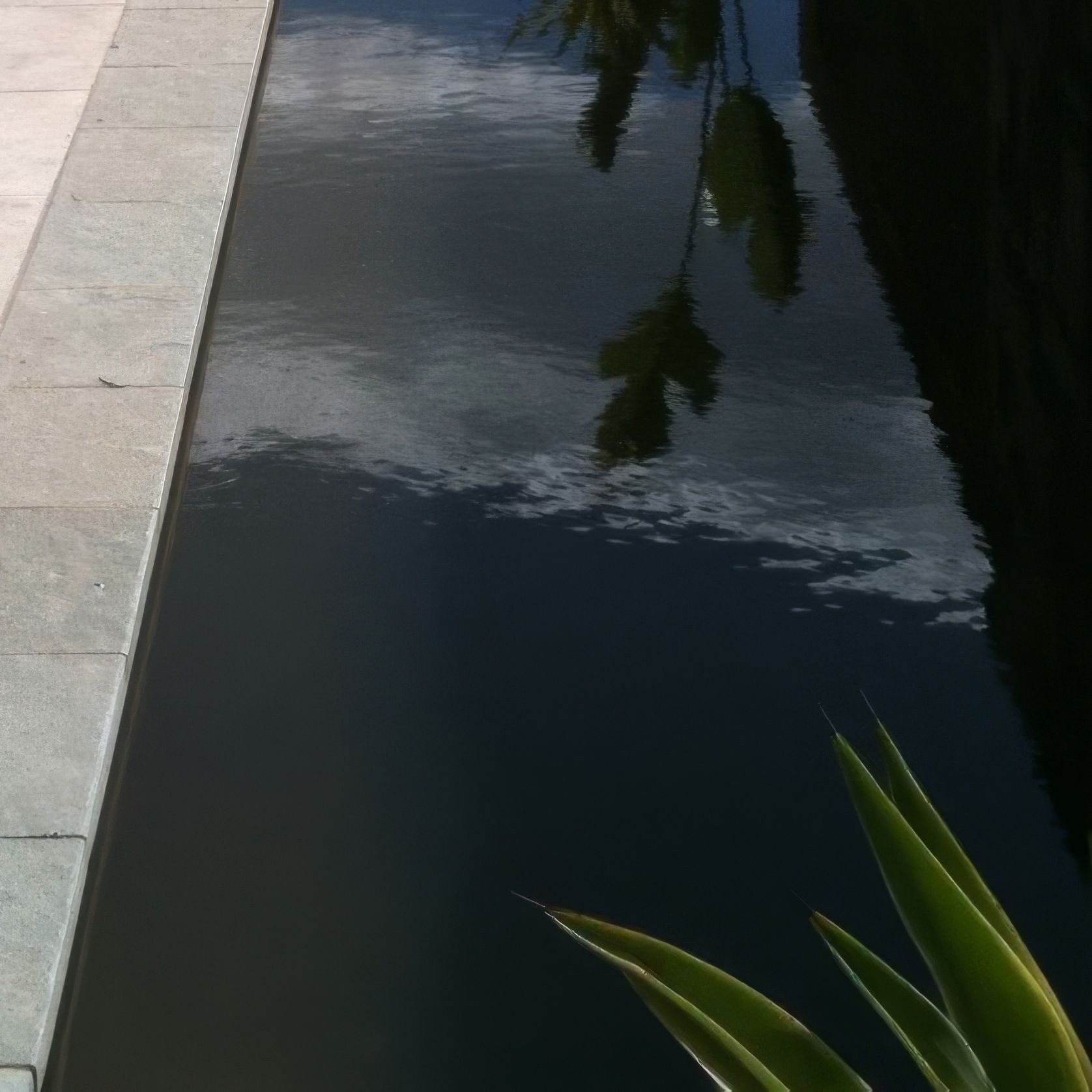 Tuscan Blue | Limestone gallery detail image