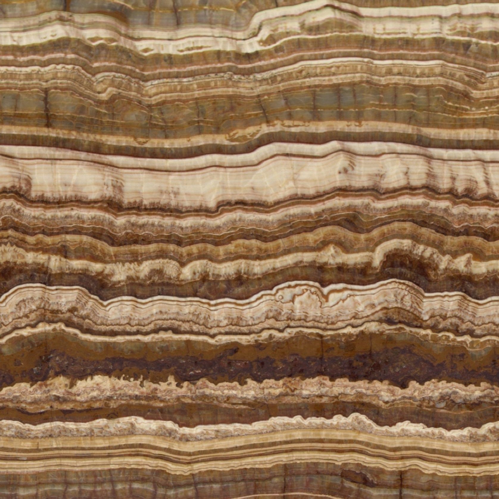 Tiger VC | Onyx gallery detail image